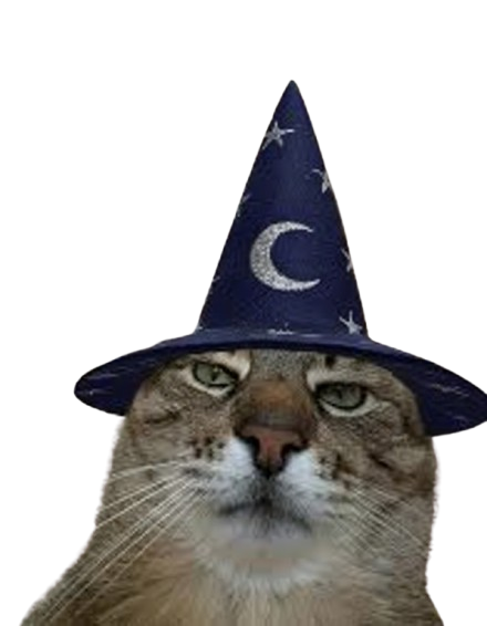 Floating Cat