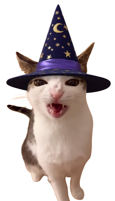 Floating Cat